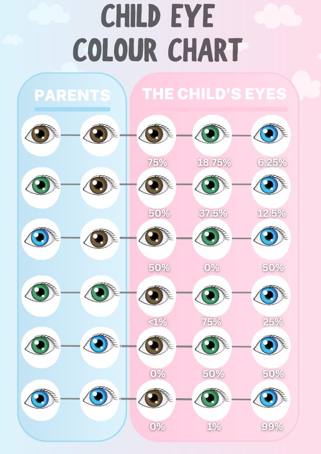 Child Eye Color CHart Child Eye Color Chart