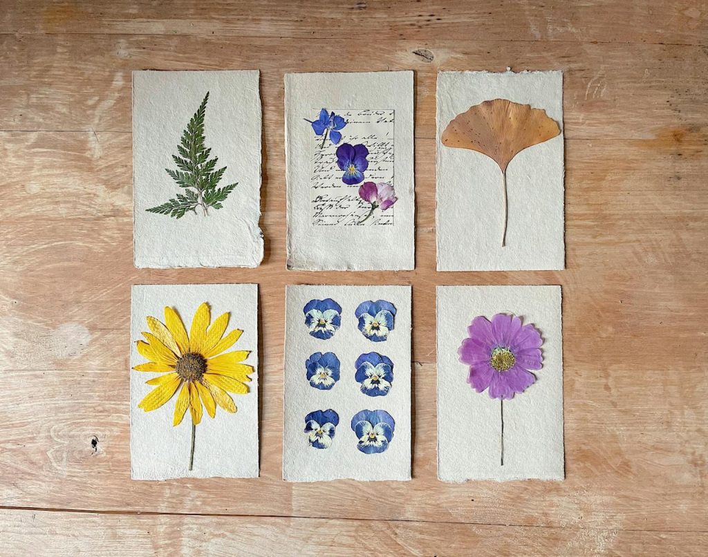 Kids Herbarium