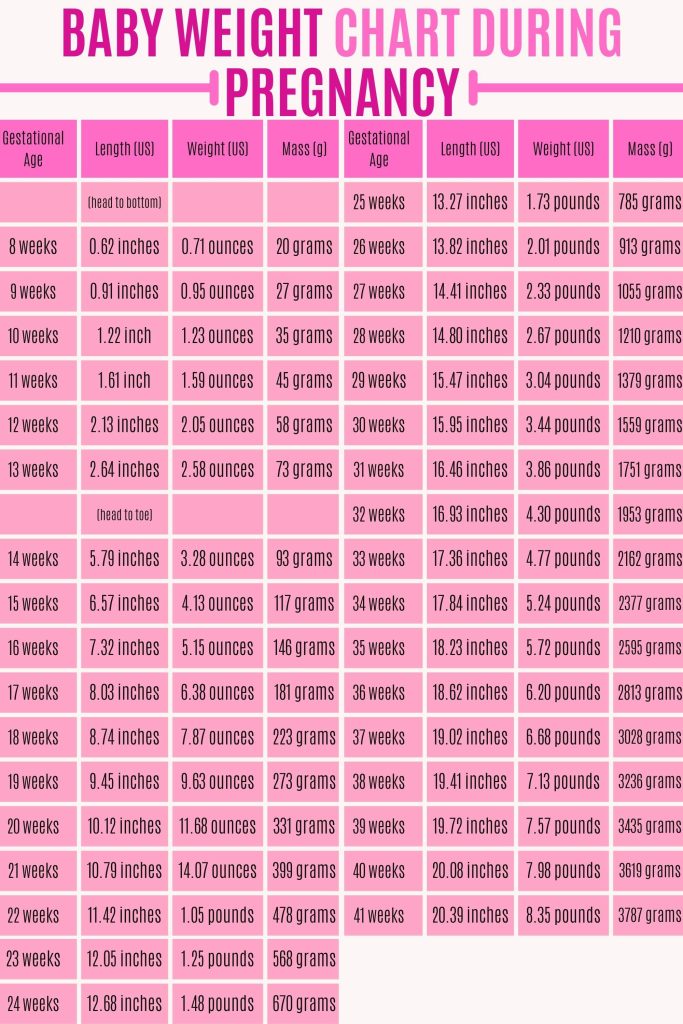 Baby weight chart during pregnancy