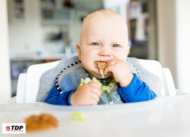 Baby-Led Weaning